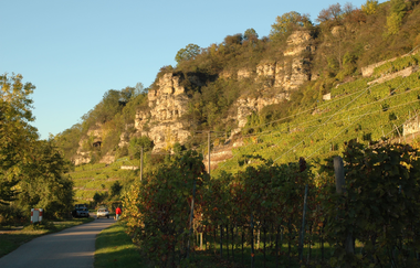 Terrassenweinberge bei Lauffen am Neckar | HeilbronnerLand | © Touristikgemeinschaft HeilbronnerLand e.V.