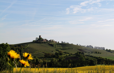 Aussichtspunkt & Rastplatz Mühlbach | © Touristikgemeinschaft HeilbronnerLand e.V.