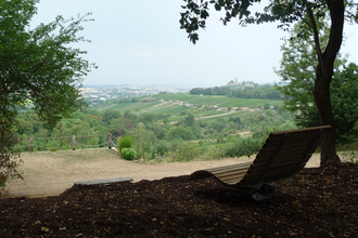 Aussichtspunkt & Rastplatz Mühlbach | Eppingen | HeilbronnerLand | © Stadt Eppingen