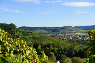 Blick auf´s Eschenauer Paradies | Obersulm | Weinsberger Tal | HeilbronnerLand | © Tourismus im Weinsberger Tal e.V.