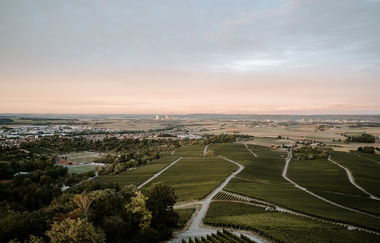 Leingarten Heuchelberger Warte Panorama 2 | © Heuchelberger Warte