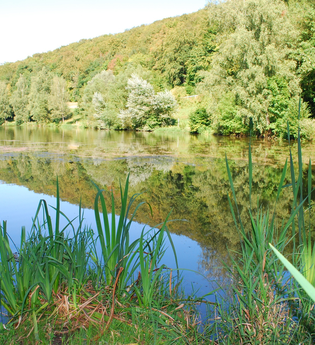 Badesee Schwarzenbronn | © Touristinformation Creglingen / Bild Hein