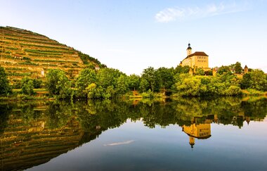 Steillagen-Areal Gundelsheimer Himmelreich | Neckartal | HeilbronnerLand | © Touristikgemeinschaft HeilbronnerLand