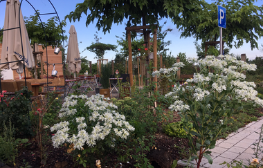 Am Biergarten blühen Blumen | © Touristikgemeinschaft Hohenlohe e. V. | Wohnmobilpark HEICamp