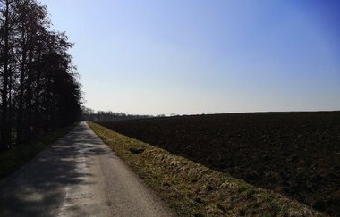 Aussicht auf Feldweg in Kirchberg an der Jagst | © Hohenlohe + Schwäbisch Hall Tourismus e. V.