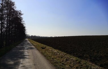 Aussicht auf Feldweg in Kirchberg an der Jagst | © Hohenlohe + Schwäbisch Hall Tourismus e. V.
