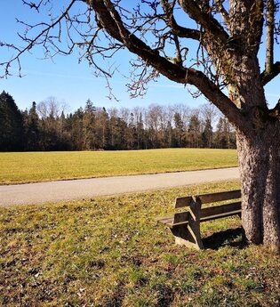 Bank mit Ausblick auf Wald und Wiesen | © Hohenlohe + Schwäbisch Hall Tourismus e. V.