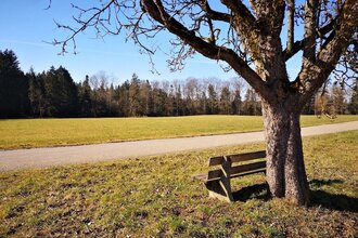 Bank mit Ausblick auf Wald und Wiesen | © Hohenlohe + Schwäbisch Hall Tourismus e. V.