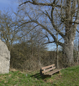 Bank-mit-Lehne zw. Michelbach-Heide_Oberamtstour | © Hohenlohe + Schwäbisch Hall Tourismus e. V.
