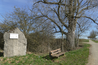 Bank-mit-Lehne zw. Michelbach-Heide_Oberamtstour | © Hohenlohe + Schwäbisch Hall Tourismus e. V.