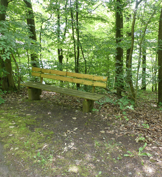 Bank oberhalb Brunnhälde | © Stadt Sachsenheim