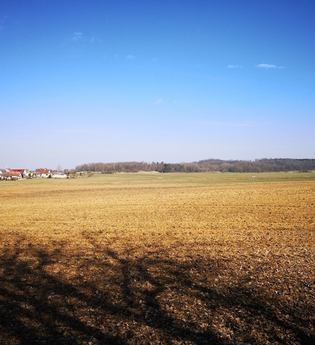 Rastmöglichkeit mit Ausblick auf Feld | © Hohenlohe + Schwäbisch Hall Tourismus e. V.