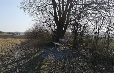 Rastmöglichkeit mit Bank bei Fahrradweg | © Hohenlohe + Schwäbisch Hall Tourismus e. V.