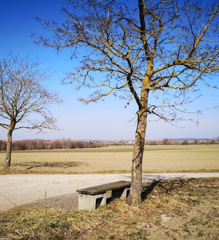 Rastmöglichkeit an der JuheTour zw. Schwäbisch Hall und Vellberg | © Hohenlohe + Schwäbisch Hall Tourismus e. V.