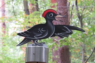 Bannwald "Kartoffelacker" im Schwetzinger Hardt | © Unbekannt