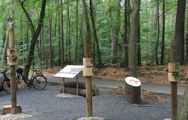Bannwald "Kartoffelacker" im Schwetzinger Hardt | © Unbekannt