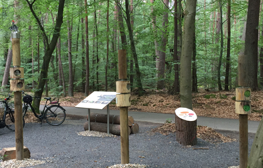 Bannwald "Kartoffelacker" im Schwetzinger Hardt | © Unbekannt