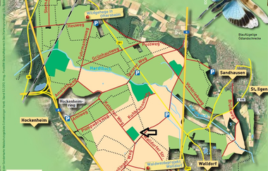 Bannwald "Kartoffelacker" im Schwetzinger Hardt | © Landratsamt Rhein-Neckar-Kreis