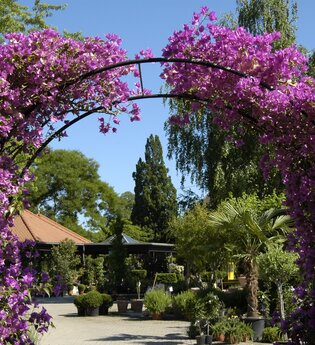 Baumschule und Café Huben in Ladenburg | © Baumschule Huben