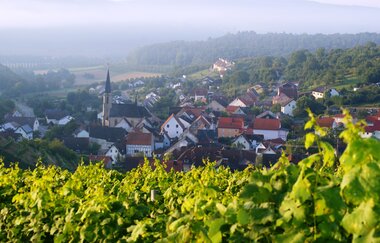 Becksteiner Winzer eG