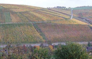 Becksteiner Winzer eG