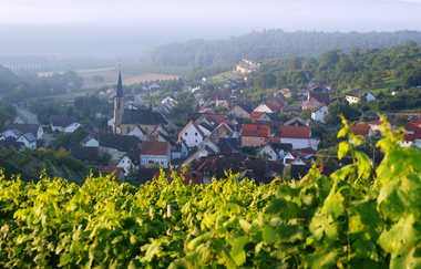 Becksteiner Winzer eG