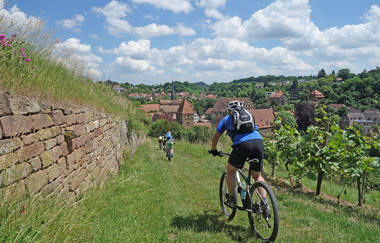 Mountainbike Tour | Berg Rad Touren | HeilbronnerLand | © Berg Rad Touren