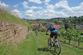Mountainbike Tour | Berg Rad Touren | HeilbronnerLand | © Berg Rad Touren