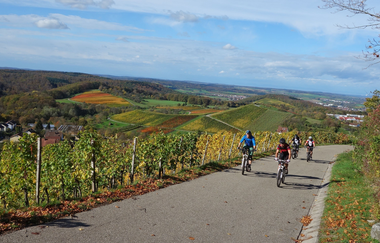 MTB-Fahrtechnik Kurs | Berg Rad Touren | HeilbronnerLand | © Berg Rad Touren