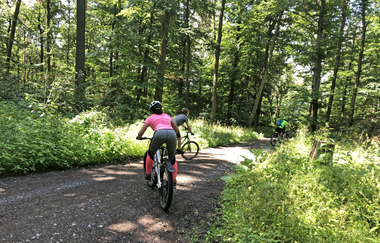 MTB-Fahrtechnik Kurs | Berg Rad Touren | HeilbronnerLand | © Berg Rad Touren