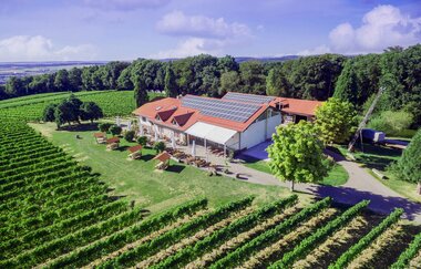 Berg.Wein.Terrasse | © Weingut Amalienhof