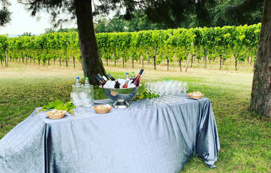 Hochzeits- & Evenlocation Amalienhof | Beilstein | HeilbronnerLand | © Weinstube Amalienhof