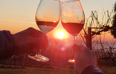 Berg.Wein.Terrasse | © Foto Weinstube Amalienhof