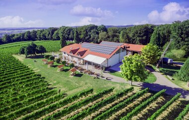 Berg.Wein.Terrasse | © Weingut Amalienhof
