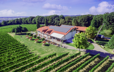 Berg.Wein.Terrasse | © Weingut Amalienhof
