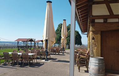 Berg.Wein.Terrasse | © Weingut Amalienhof