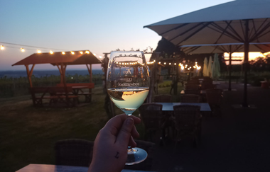 Berg.Wein.Terrasse | © Weingut Amalienhof