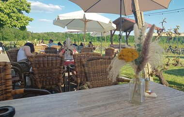 Berg.Wein.Terrasse | © Weingut Amalienhof