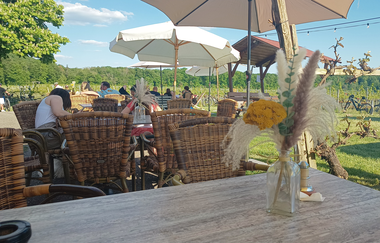 Berg.Wein.Terrasse | © Weingut Amalienhof