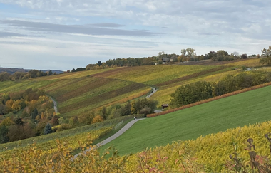 Kuhberg - Schänke | Bachenau | Gundelsheim | © Weinbau Mühlbeyer