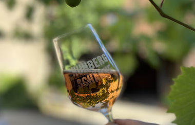 Kuhberg - Schänke | Bachenau | Gundelsheim | © Weinbau Mühlbeyer