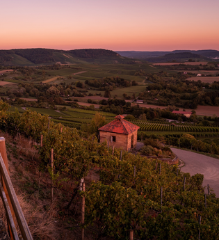 Sonnenuntergang am Scheuerberg Neckarsulm | © Touristikgemeinschaft HeilbronnerLand e.V.