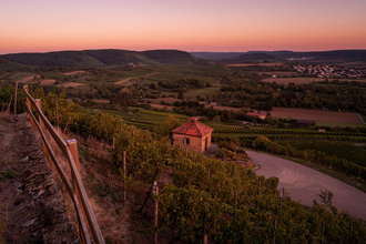 Sonnenuntergang am Scheuerberg Neckarsulm | © Touristikgemeinschaft HeilbronnerLand e.V.