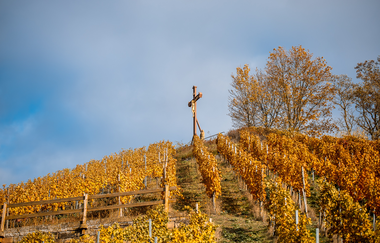 Aussichtspunkt Scheuerberg | Neckarsulm | HeilbronnerLand | © Stadt Neckarsulm