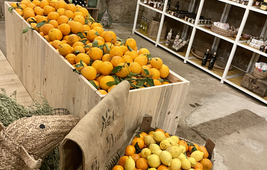 Biber’s Scheunenmarkt