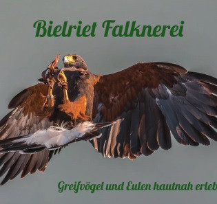Logo Bielriet Falknerei Cröffelbach | © Hohenlohe + Schwäbisch Hall Tourismus