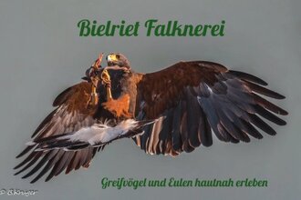 Logo Bielriet Falknerei Cröffelbach | © Hohenlohe + Schwäbisch Hall Tourismus
