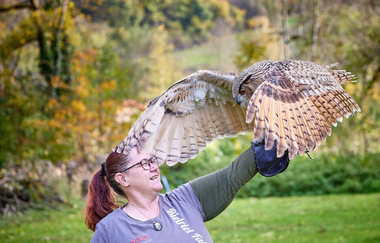 Bielriet Falknerei_Flugvorführung | © Hohenlohe + Schwäbisch Hall Tourismus