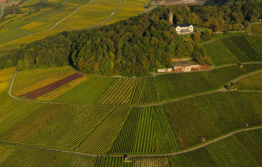 Biergarten am Höhenrestaurant Wartberg