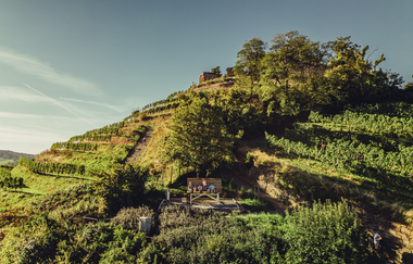 BIG BENCH | Weinsberg | Burgruine Weibertreu | © Tourismus im Weinsberger Tal e.V.
